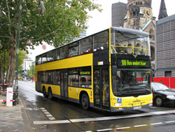 bus